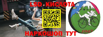стаф Пенза