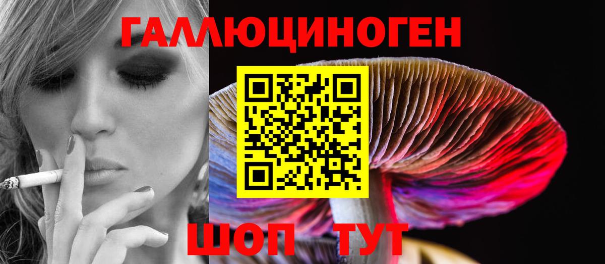 Галлюциногенные грибы мицелий  Псилоцибиновые грибы Psilocybe  Вход с VPN  Подольск 